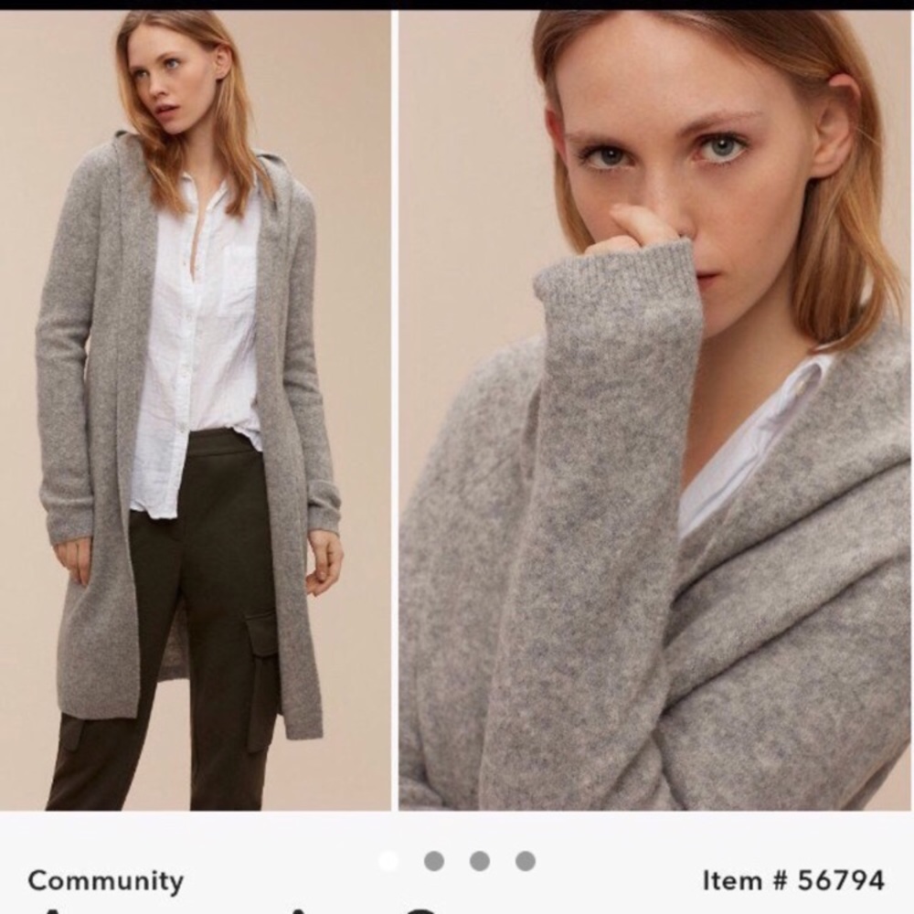 Aritzia Community hooded sweater